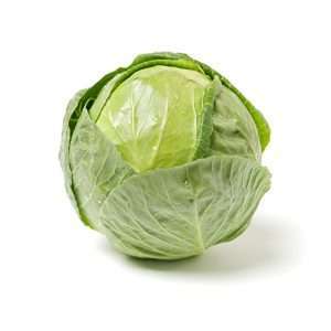 Cabbage