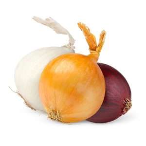 Onion
