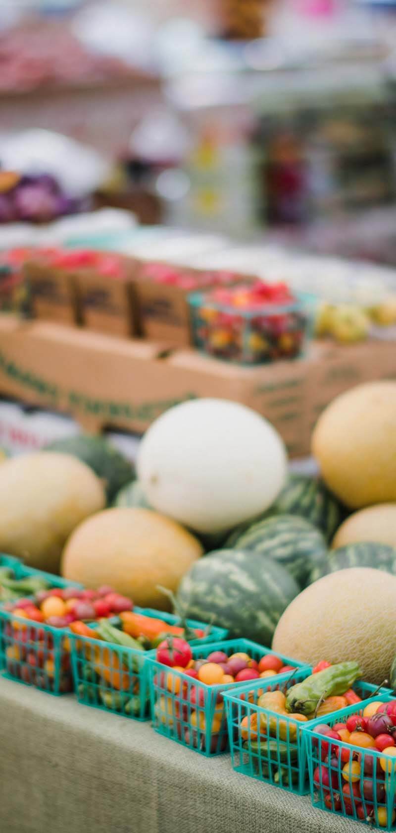 food-coop-17