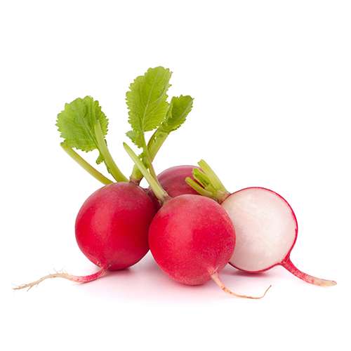 radish