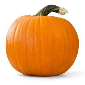 Pumpkin
