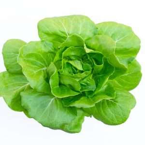 Lettuce